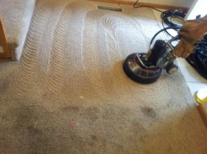 carpet cleaning North Hills
